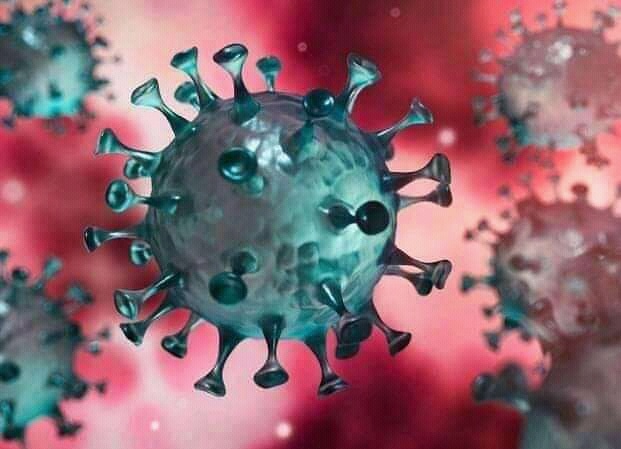 Haïti-Coronavirus: 15 cas confirmés officiellement. 5