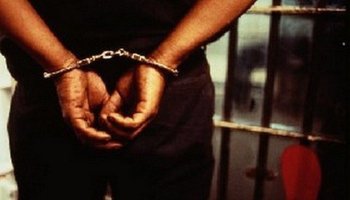 Sud: Arrestation de 4 individus en possession de 651,20 kg de marijuana. 11