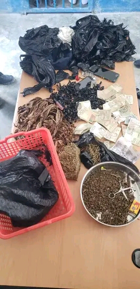 Trafic illicite de stupéfiants : Deux individus arrêtés à Bon-Repos 5